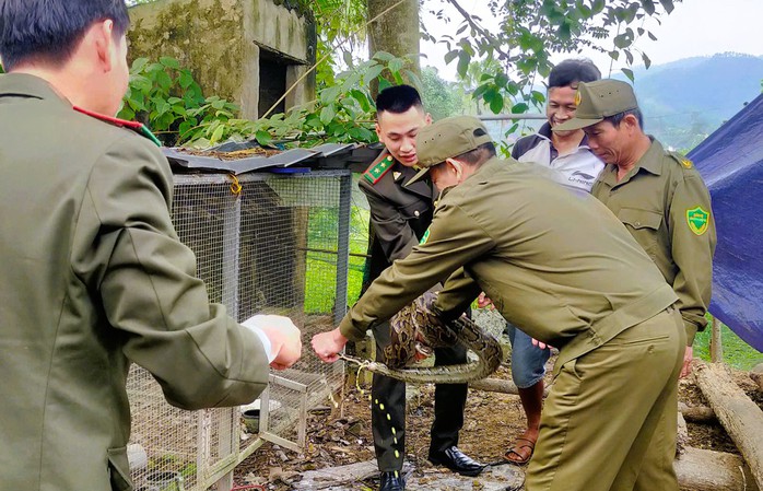 Thấy 2 con vật trong s&aacute;ch đỏ đi lạc v&agrave;o vườn nh&agrave;, bắt giao lại c&ocirc;ng an - Ảnh 1.