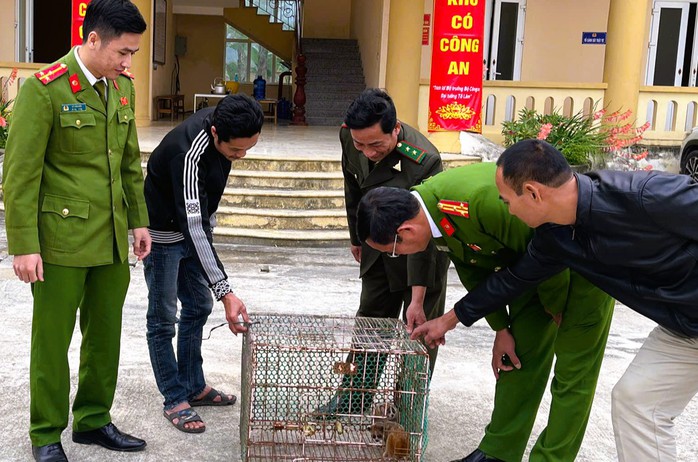 Thấy 2 con vật trong s&aacute;ch đỏ đi lạc v&agrave;o vườn nh&agrave;, bắt giao lại c&ocirc;ng an - Ảnh 2.