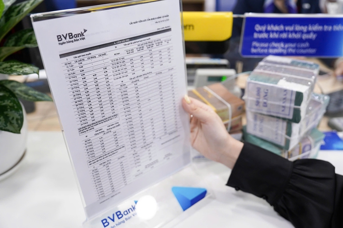 Gói vay ưu đãi cho người trẻ bất ngờ tạm dừng - Ảnh 1.