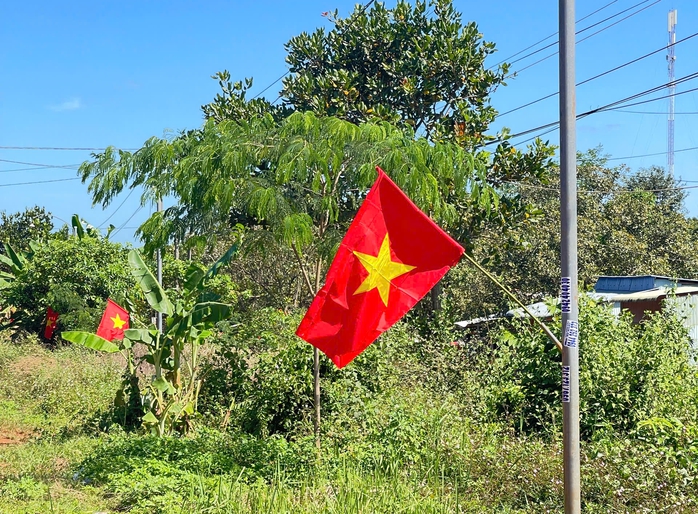 Đồng Nai có thêm tuyến “Đường cờ Tổ quốc” - Ảnh 3.