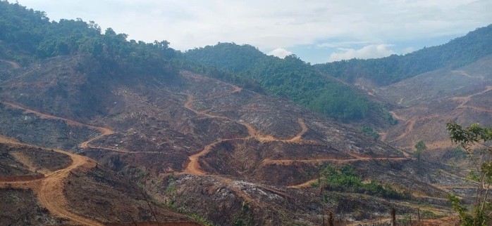 - Ảnh 3. - Ảnh 3.