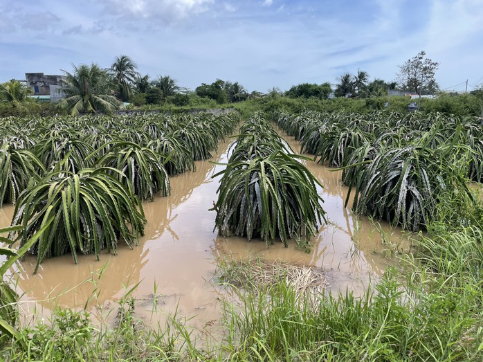 Nông dân mất trắng, nhà sập, công ty thủy lợi nói việc xả lũ “đúng quy trình” - Ảnh 1.