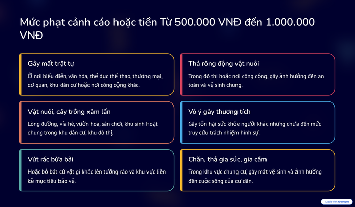Quy định mới dành cho người thích gọi tổng đài 113 giỡn cợt - Ảnh 2.