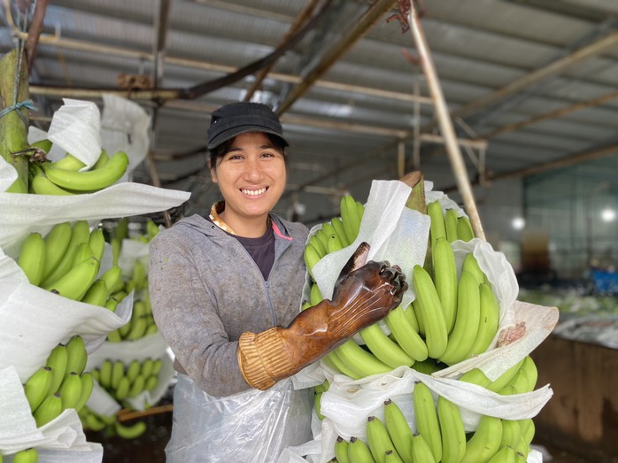 Nông dân Gia Lai “lên đời” nhờ công nghệ số - Ảnh 8.