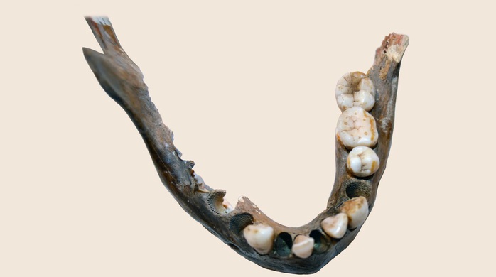 550 năm trước vẫn có một nhóm người DNA khác hầu hết người hiện đại - Ảnh 1.