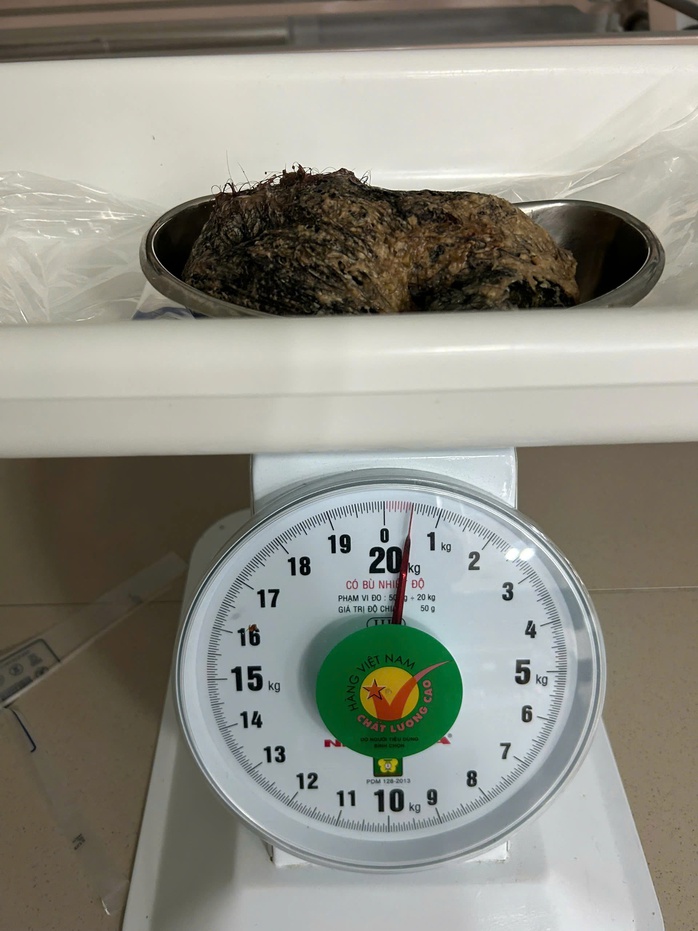 - Ảnh 2. - Ảnh 2.