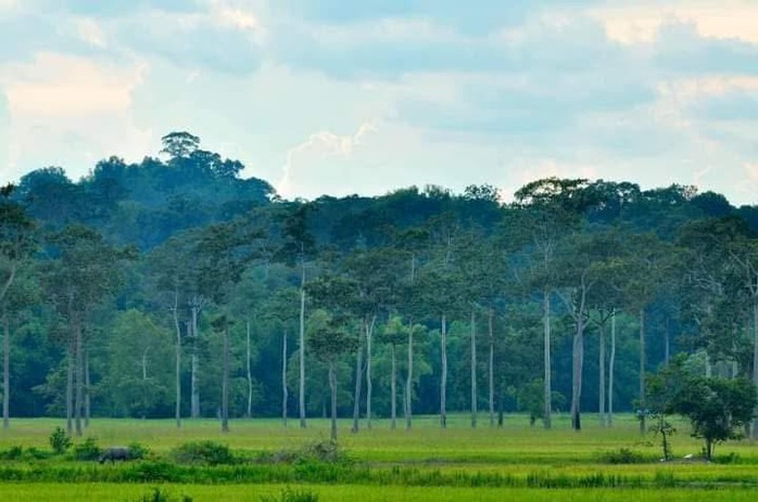 Rủ nhau về Tà Lài "chữa lành"- Ảnh 5. Rủ nhau về Tà Lài "chữa lành"- Ảnh 5.