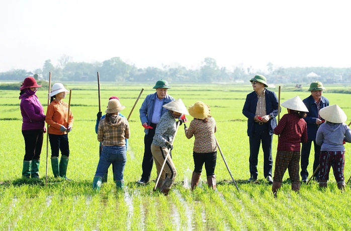 Lãnh đạo tỉnh Quảng Trị ra đồng lì xì cho nông dân- Ảnh 1. Lãnh đạo tỉnh Quảng Trị ra đồng lì xì cho nông dân- Ảnh 1.