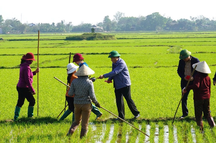 Lãnh đạo tỉnh Quảng Trị ra đồng lì xì cho nông dân- Ảnh 2. Lãnh đạo tỉnh Quảng Trị ra đồng lì xì cho nông dân- Ảnh 2.