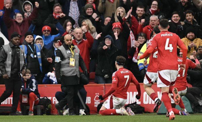 Vùi dập Brighton 7 bàn, "ngựa ô" Nottingham Forest tung vó- Ảnh 6. Vùi dập Brighton 7 bàn, "ngựa ô" Nottingham Forest tung vó- Ảnh 6.