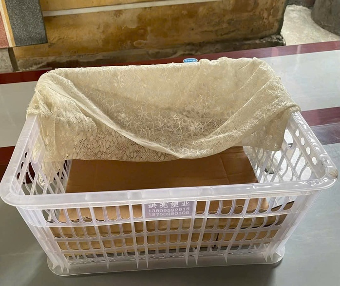 Bé gái sơ sinh còn nguyên dây rốn bị bỏ rơi tại điếm canh đê- Ảnh 2. Bé gái sơ sinh còn nguyên dây rốn bị bỏ rơi tại điếm canh đê- Ảnh 2.