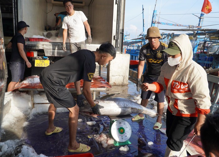 Mục tiêu kỷ lục của Khánh Hòa- Ảnh 1. Mục tiêu kỷ lục của Khánh Hòa- Ảnh 1.