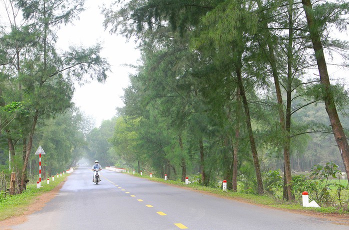 Dựng v&agrave;nh đai xanh ven biển- Ảnh 1.