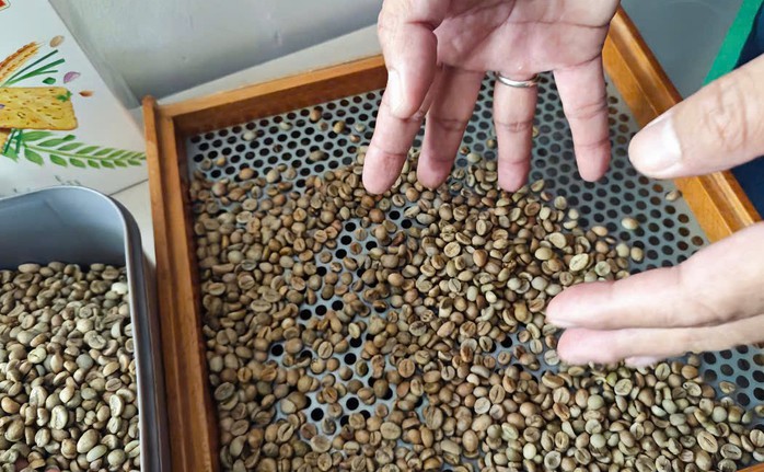 Giá cà phê hôm nay 13-2: Mọi kỷ lục đều bị phá vỡ- Ảnh 1. Giá cà phê hôm nay 13-2: Mọi kỷ lục đều bị phá vỡ- Ảnh 1.