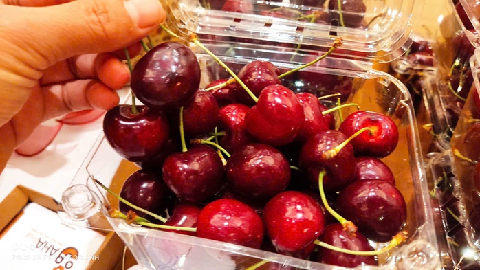Người Việt lần đầu được ăn cherry dưới 100.000 đồng/kg- Ảnh 2. Người Việt lần đầu được ăn cherry dưới 100.000 đồng/kg- Ảnh 2.