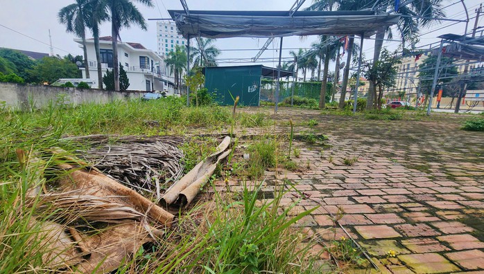 Khu đất "vàng" bỏ hoang trước trụ sở Tỉnh ủy Quảng Bình hơn 10 năm - Ảnh 2. Khu đất "vàng" bỏ hoang trước trụ sở Tỉnh ủy Quảng Bình hơn 10 năm - Ảnh 2.
