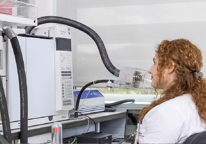 Ngửi mùi 9 xác ướp Ai Cập, các nhà khoa học bị sốc- Ảnh 2. Ngửi mùi 9 xác ướp Ai Cập, các nhà khoa học bị sốc- Ảnh 2.
