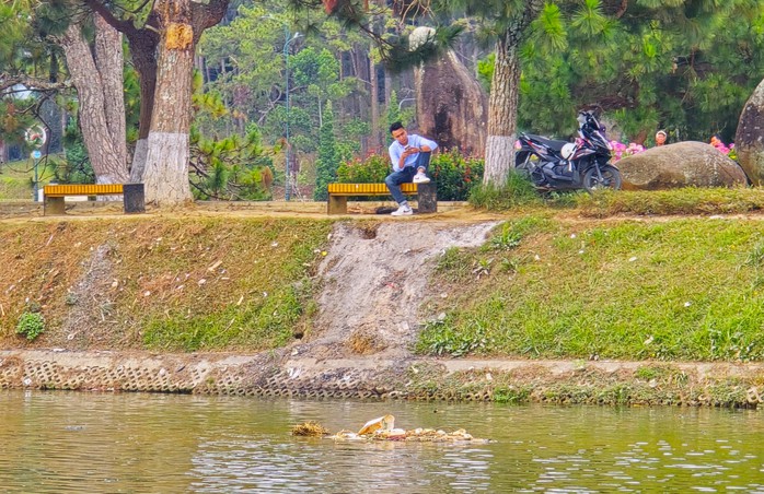 Đà Lạt xử nghiêm việc bán hàng rong làm cháy cỏ bờ hồ Xuân Hương- Ảnh 3. Đà Lạt xử nghiêm việc bán hàng rong làm cháy cỏ bờ hồ Xuân Hương- Ảnh 3.
