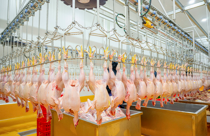 Bán thực phẩm Halal cho 2 tỉ người Hồi giáo vẫn khó- Ảnh 1. Bán thực phẩm Halal cho 2 tỉ người Hồi giáo vẫn khó- Ảnh 1.