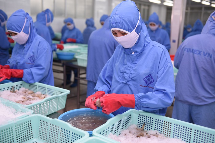Chuyển đổi xanh và lời giải từ thực tiễn- Ảnh 2.