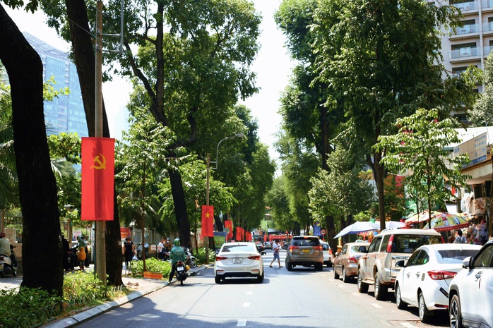 Những cổ thụ ở TP HCM: Chứng nhân lịch sử của đô thị sầm uất- Ảnh 7. Những cổ thụ ở TP HCM: Chứng nhân lịch sử của đô thị sầm uất- Ảnh 7.