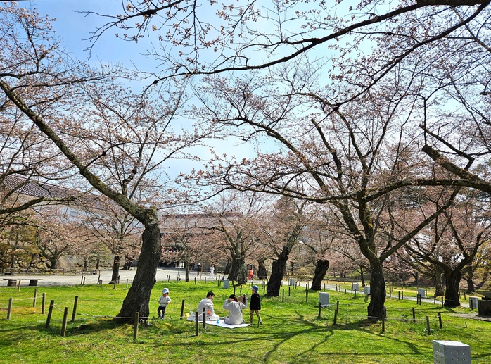 Kh&aacute;ch Việt đến Nhật Bản kỷ lục nhưng du lịch Nhật Bản vẫn thấ - Ảnh 3.