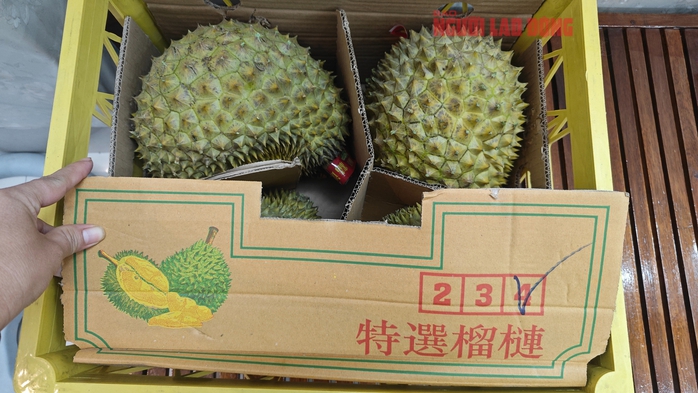 Sầu riêng gặp khó, Trung Quốc giảm nhập rau quả Việt Nam 40% - Ảnh 1. Sầu riêng gặp khó, Trung Quốc giảm nhập rau quả Việt Nam 40% - Ảnh 1.