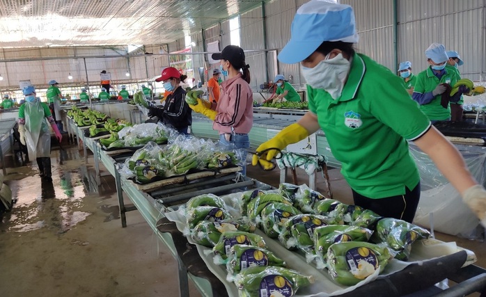 Báo in ngày 26-2: Tích cực bơm vốn thúc đẩy tăng trưởng- Ảnh 3. Báo in ngày 26-2: Tích cực bơm vốn thúc đẩy tăng trưởng- Ảnh 3.