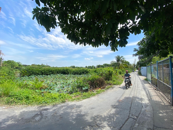 Bình Quới - Thanh Đa chờ tỏa sáng- Ảnh 2. Bình Quới - Thanh Đa chờ tỏa sáng- Ảnh 2.