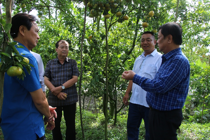 ĐẤT SEN HỒNG VƯƠN MÌNH TỎA SẮC (*): Đặt kinh tế xanh làm nhiệm vụ trọng tâm- Ảnh 1. ĐẤT SEN HỒNG VƯƠN MÌNH TỎA SẮC (*): Đặt kinh tế xanh làm nhiệm vụ trọng tâm- Ảnh 1.