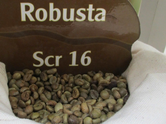 Giá cà phê hôm nay 28-2: Robusta mất mốc 5.400 USD/tấn- Ảnh 1. Giá cà phê hôm nay 28-2: Robusta mất mốc 5.400 USD/tấn- Ảnh 1.