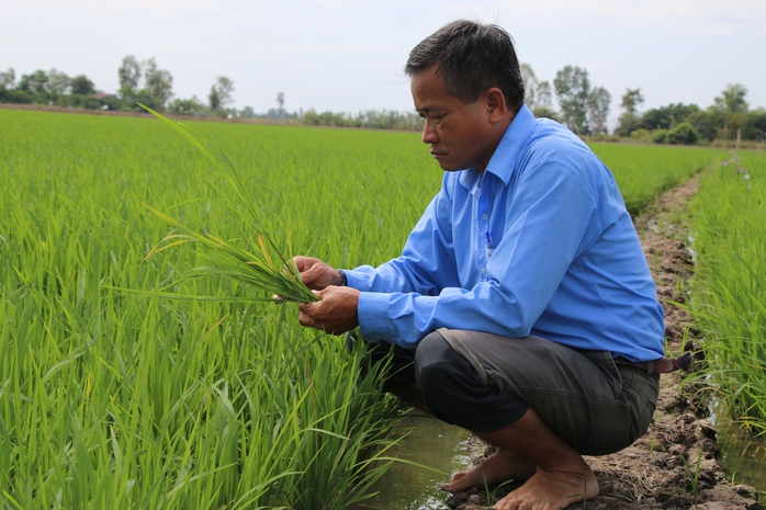 ĐẤT SEN HỒNG VƯƠN MÌNH TỎA SẮC (*): Chung tay thực hiện kỳ vọng lớn- Ảnh 3. ĐẤT SEN HỒNG VƯƠN MÌNH TỎA SẮC (*): Chung tay thực hiện kỳ vọng lớn- Ảnh 3.