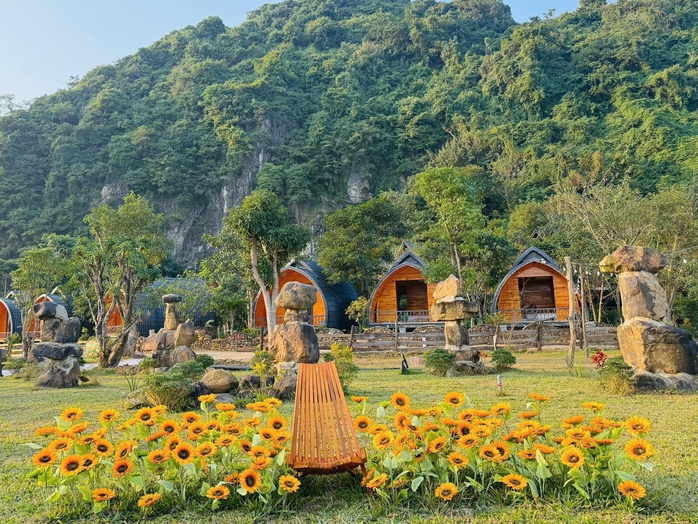 Du lịch Quảng Bình thắng đậm dịp Tết- Ảnh 3. Du lịch Quảng Bình thắng đậm dịp Tết- Ảnh 3.
