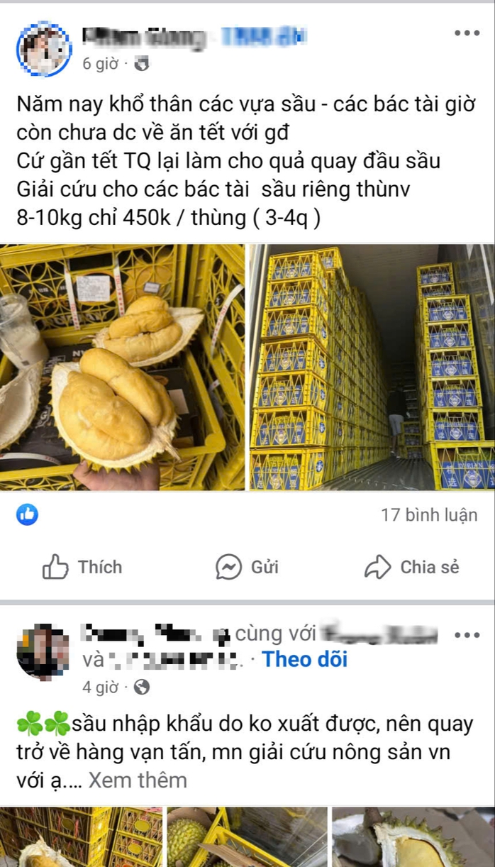 Thực hư “giải cứu” sầu riêng giá siêu rẻ- Ảnh 1. Thực hư “giải cứu” sầu riêng giá siêu rẻ- Ảnh 1.