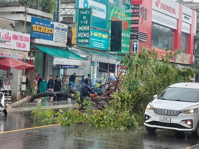 Mưa không lớn nhưng cây xanh bật gốc giữa trung tâm Đà Nẵng- Ảnh 1. Mưa không lớn nhưng cây xanh bật gốc giữa trung tâm Đà Nẵng- Ảnh 1.