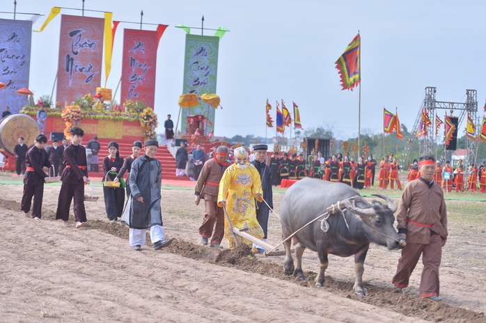Một nông dân vào vai nhà vua đi cày ruộng- Ảnh 2. Một nông dân vào vai nhà vua đi cày ruộng- Ảnh 2.