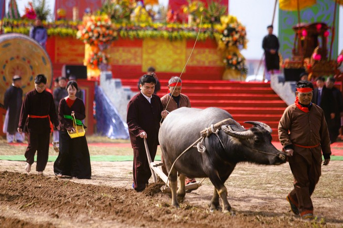Một nông dân vào vai nhà vua đi cày ruộng- Ảnh 13. Một nông dân vào vai nhà vua đi cày ruộng- Ảnh 13.