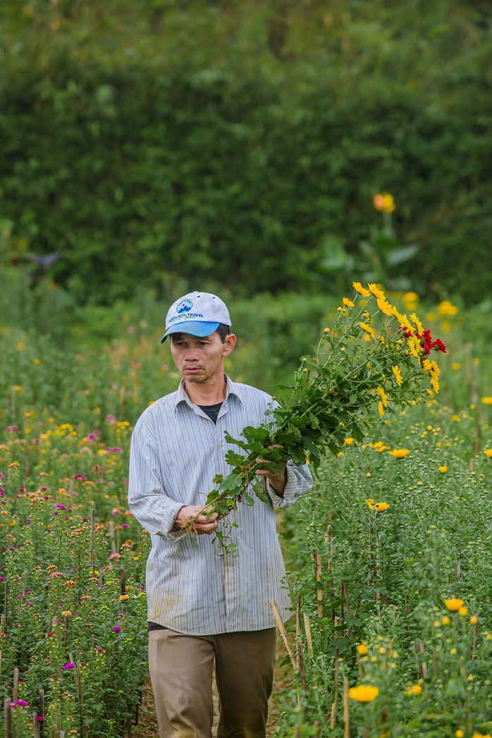 Cuộc thi viết "Tết thời số": Bức tranh xuân trên cánh đồng hoa Dương Nỗ- Ảnh 5. Cuộc thi viết "Tết thời số": Bức tranh xuân trên cánh đồng hoa Dương Nỗ- Ảnh 5.