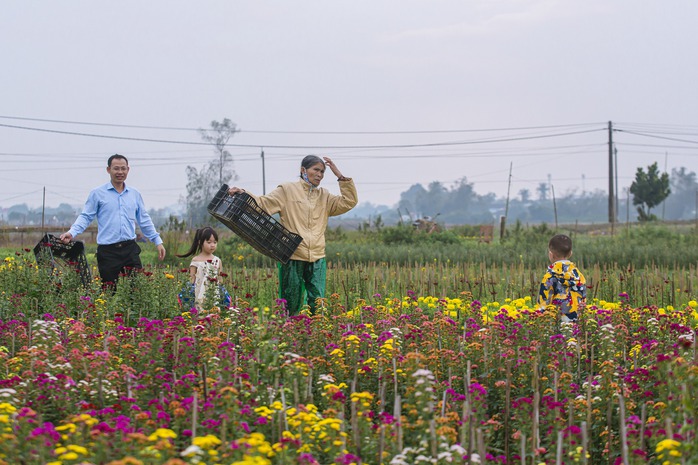 Cuộc thi viết "Tết thời số": Bức tranh xuân trên cánh đồng hoa Dương Nỗ- Ảnh 2. Cuộc thi viết "Tết thời số": Bức tranh xuân trên cánh đồng hoa Dương Nỗ- Ảnh 2.