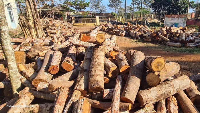Điều tra vụ phá rừng phòng hộ vành đai biên giới quy mô lớn- Ảnh 2. Điều tra vụ phá rừng phòng hộ vành đai biên giới quy mô lớn- Ảnh 2.