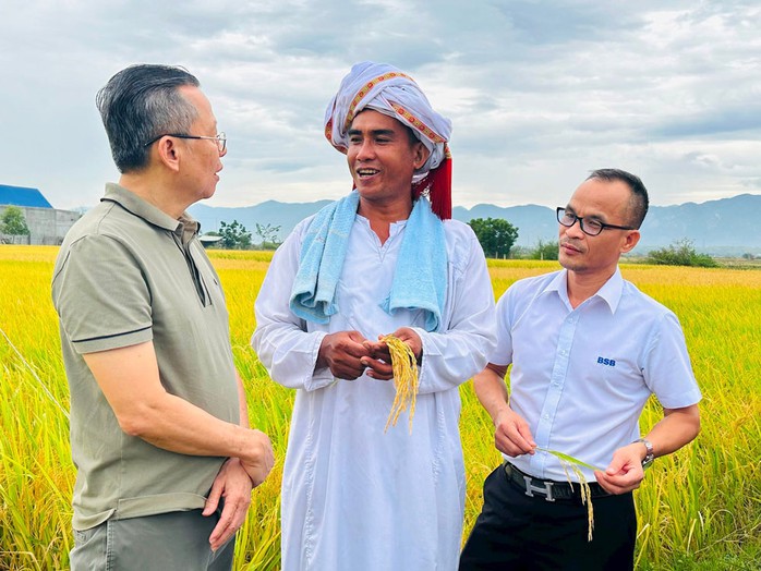 Nông dân trồng lúa giảm phát thải khí nhà kính tại xã Phan Hòa trao đổi với chuyên gia. (Ảnh do Trung tâm Khuyến nông tỉnh Bình Thuận cung cấp) Nông dân trồng lúa giảm phát thải khí nhà kính tại xã Phan Hòa trao đổi với chuyên gia. (Ảnh do Trung tâm Khuyến nông tỉnh Bình Thuận cung cấp)