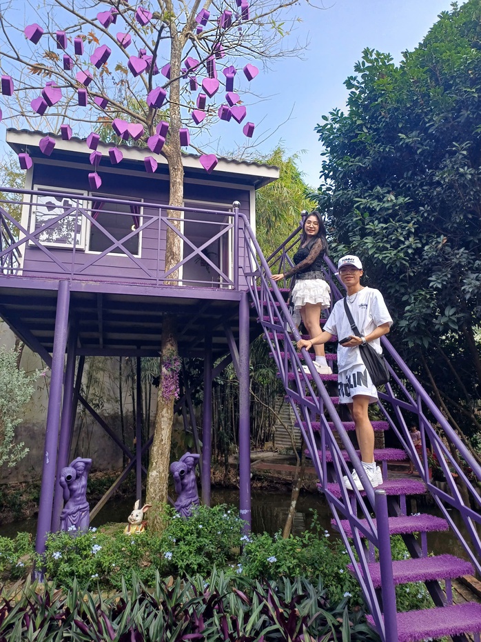 Hết Tết, du khách vẫn rủ nhau đến điểm du lịch toàn màu tím- Ảnh 11. Hết Tết, du khách vẫn rủ nhau đến điểm du lịch toàn màu tím- Ảnh 11.