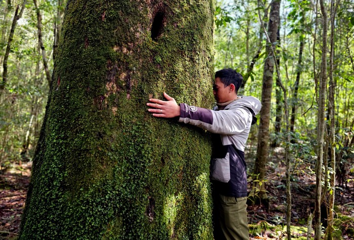 Gìn giữ "cây thần linh" trên đỉnh Bidoup - Núi Bà- Ảnh 4. Gìn giữ "cây thần linh" trên đỉnh Bidoup - Núi Bà- Ảnh 4.
