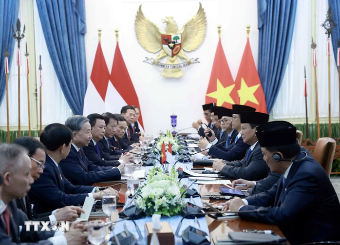 Việt Nam - Indonesia nâng cấp quan hệ lên Đối tác chiến lược toàn diện- Ảnh 2. Việt Nam - Indonesia nâng cấp quan hệ lên Đối tác chiến lược toàn diện- Ảnh 2.