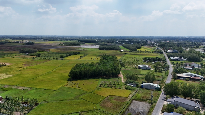 Quyền Chủ tịch UBND tỉnh Tây Ninh chỉ đạo quan trọng về phát triển kinh tế - xã hội năm 2025- Ảnh 2. Quyền Chủ tịch UBND tỉnh Tây Ninh chỉ đạo quan trọng về phát triển kinh tế - xã hội năm 2025- Ảnh 2.