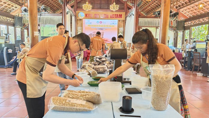 Thí sinh tham gia cuộc thi rang cà phê đặc sản Thí sinh tham gia cuộc thi rang cà phê đặc sản