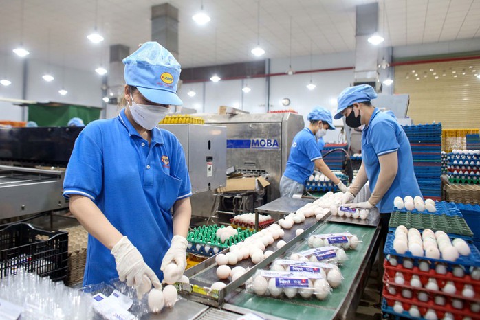 Doanh nghiệp đang rất kỳ vọng vào những quyết sách lớn từ Đảng và Nhà nước nhằm thúc đẩy kinh tế tư nhân phát triển mạnh mẽ hơn. Ảnh: HOÀNG TRIỀU Doanh nghiệp đang rất kỳ vọng vào những quyết sách lớn từ Đảng và Nhà nước nhằm thúc đẩy kinh tế tư nhân phát triển mạnh mẽ hơn. Ảnh: HOÀNG TRIỀU