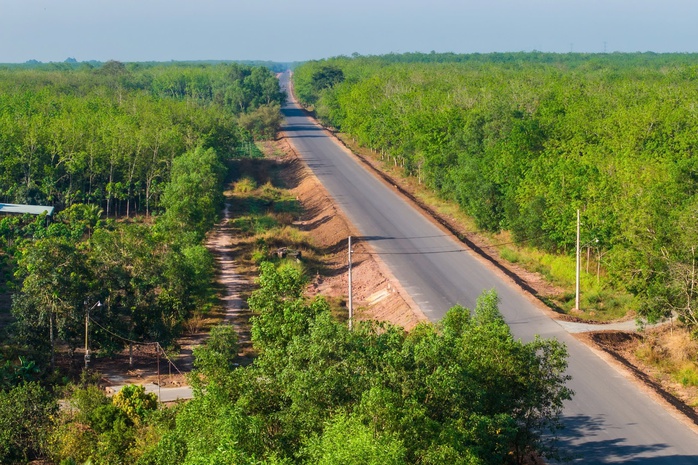 Hình ảnh hợp long cầu dài nhất trên đường Hồ Chí Minh- Ảnh 5. Hình ảnh hợp long cầu dài nhất trên đường Hồ Chí Minh- Ảnh 5.
