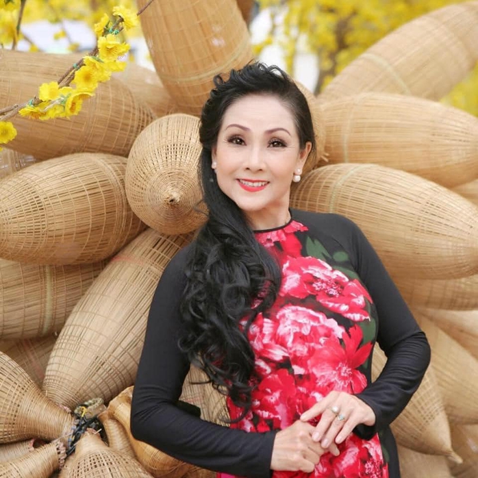 Nghệ sĩ Hồng Nhung cần chuẩn bị gì khi tố cáo nhiều ca sĩ, nghệ sĩ xúc phạm danh dự?- Ảnh 1.