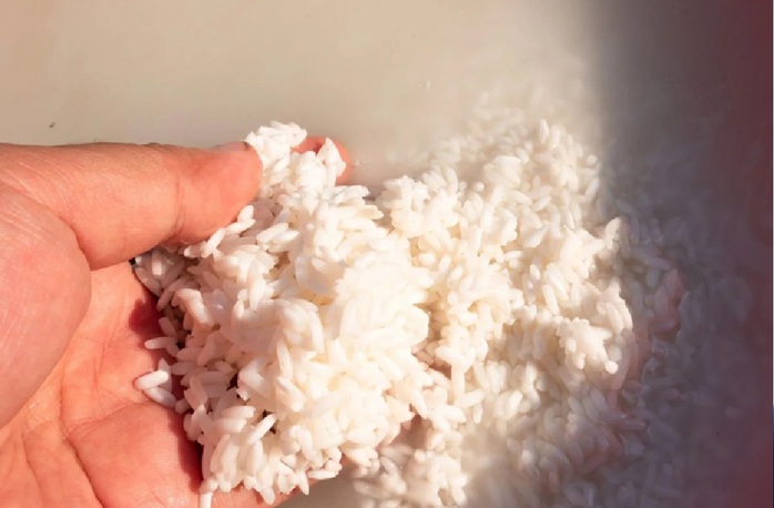 Hợp chất tăng tuổi thọ có trong "thứ bỏ đi" khi nấu rượu gạo?- Ảnh 1. Hợp chất tăng tuổi thọ có trong "thứ bỏ đi" khi nấu rượu gạo?- Ảnh 1.